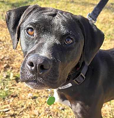 Photo of Jett #image