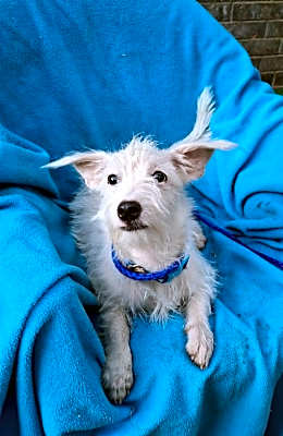 Photo of Mokshi #image