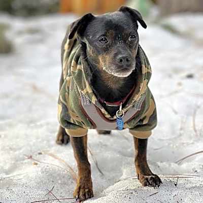Photo of Sonny #image