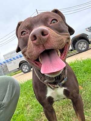 Photo of Rosco #image