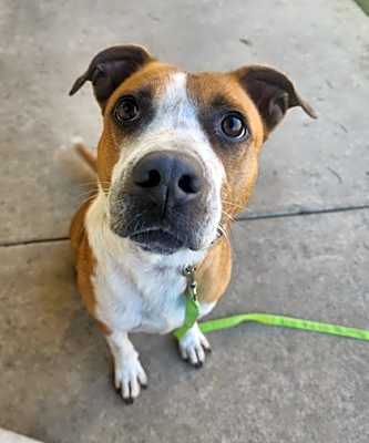 Photo of Zuko #image