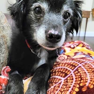 Photo of Rudy #image