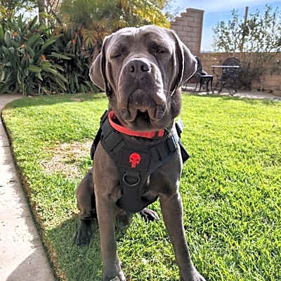 Photo of *** Gunther #image