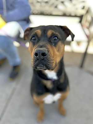 Photo of Bruno #image