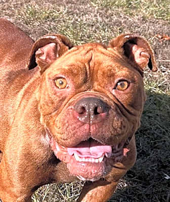 Photo of Hazel #image