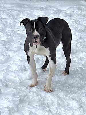 Photo of Bunky #image
