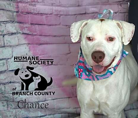 Photo of Chance #image