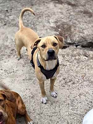 Photo of Tuck #image