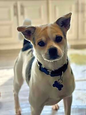 Photo of Miller #image