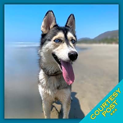 Photo of Sora (CP) #image