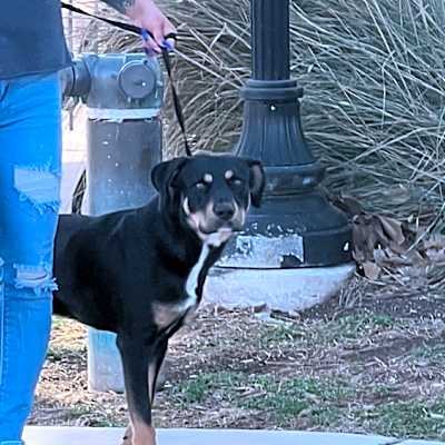 Photo of Zeus #image