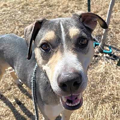 Photo of Duke #image