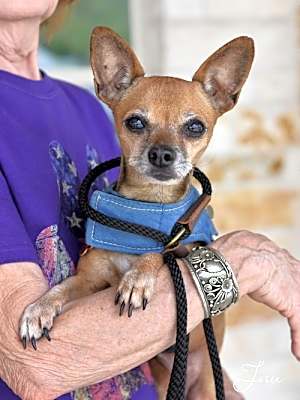 Photo of Josie #image