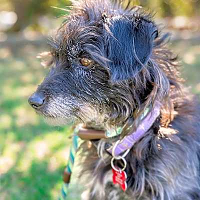 Photo of Fanny #image