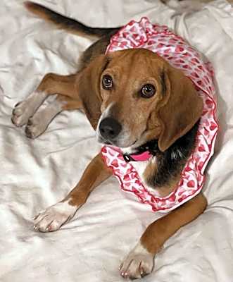 Photo of Lucy #image