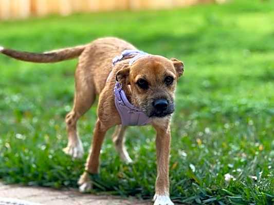 Photo of Lunana #image