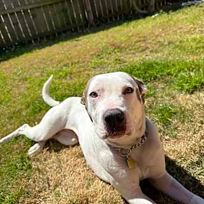 Photo of Skylar #image