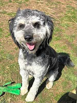 Photo of Sonny #image
