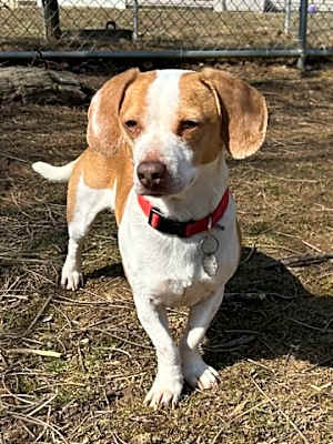 Photo of Arlo #image