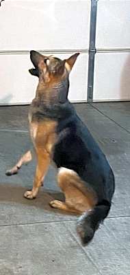 Photo of Missee #image