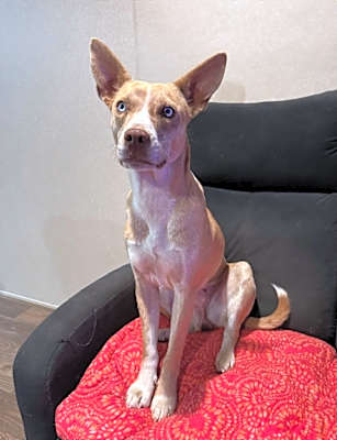Photo of Luna #image