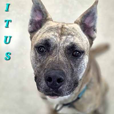Photo of Titus #image