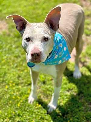 Photo of Doris aka Dora #image