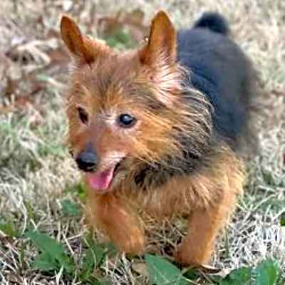 Photo of Maverick #image