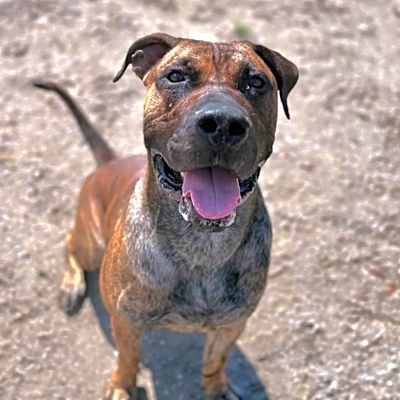 Photo of Knox #image