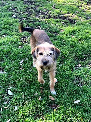 Photo of Abby #image