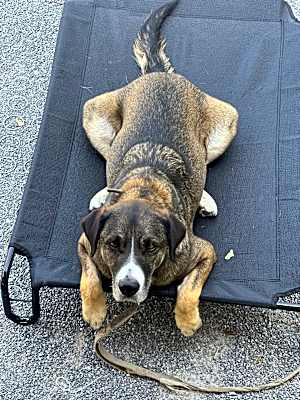 Photo of Jack #image