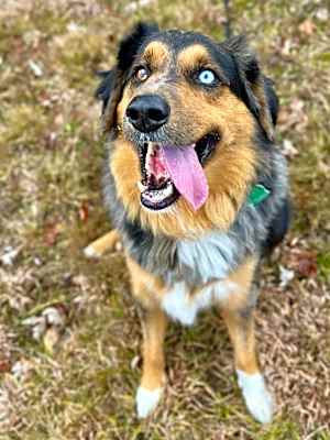Photo of Brody #image