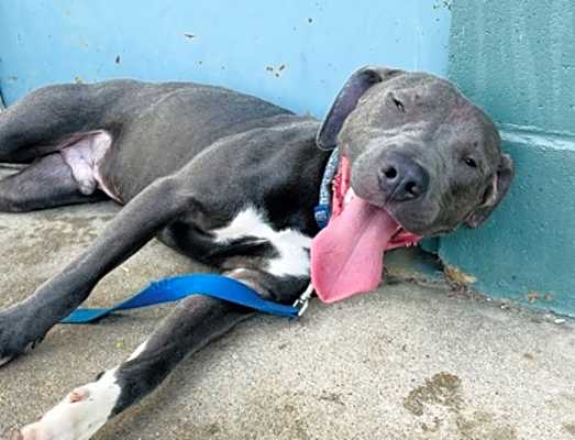 Photo of Chalupa #image