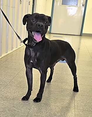 Photo of Cletus #image