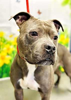 Photo of Rayna #image