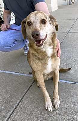 Photo of Cato #image