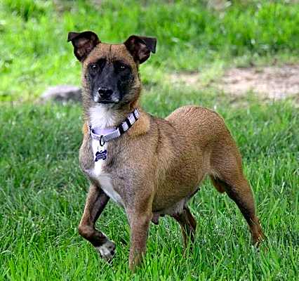 Photo of Margarita #image