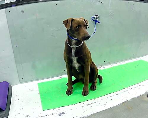 Photo of WALTER #image