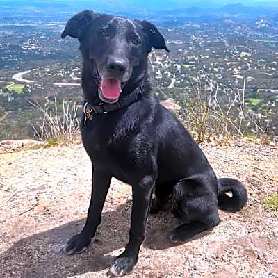 Photo of Tanner #image