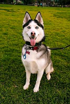 Photo of Padme #image