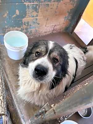 Photo of Abernathy #image