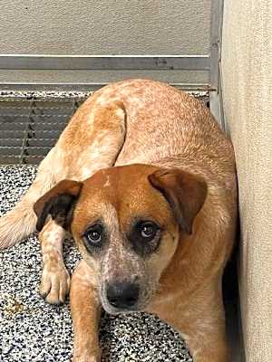 Photo of Molly #image
