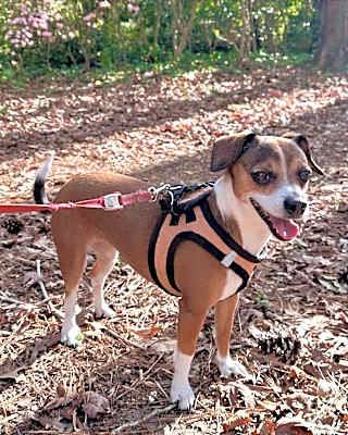 Photo of Chloe #image
