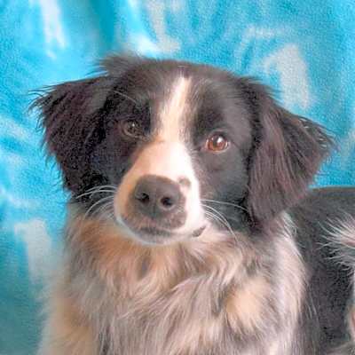 Photo of Zig #image