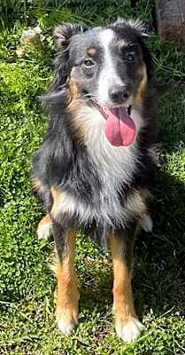 Photo of Tatum #image