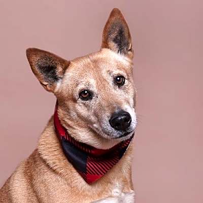 Photo of Jack #image