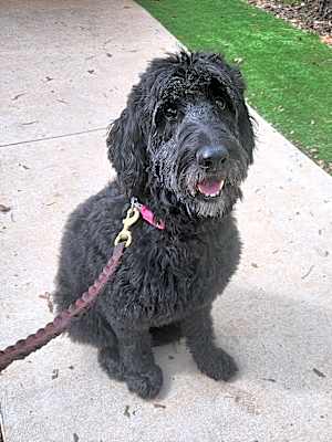 Photo of Big Bella #image