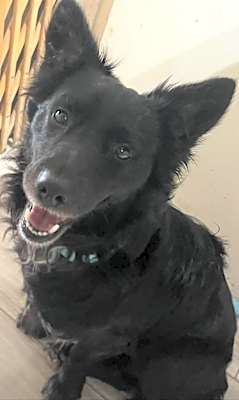 Photo of Chance #image