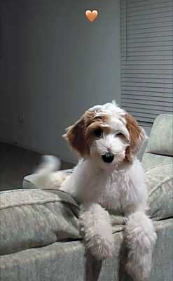 Photo of Zoe #image