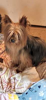 Photo of Maggie #image